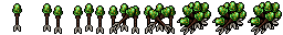 envenomed arrow