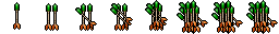 poison arrow