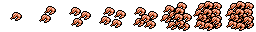 shrimp