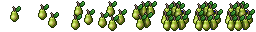 pear