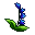 bluebell