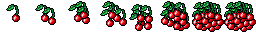 cherry