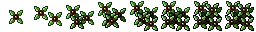leaf star