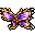 butterfly wings