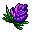 twilight bloom flower