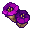 noctilume flower
