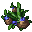 zaphyra herb