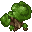 rotcap fungus