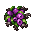 virelia flower