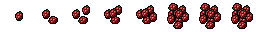 raspberry